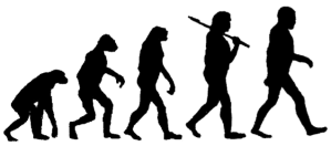human-evolution-cx